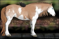 Horse Color:Chestnut Sabino Splash 