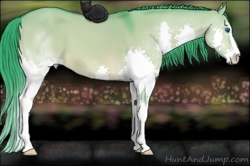 Horse Color: Watercolor Bay Dun Sabino Splash 
