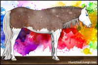 Horse Color:Silver Bay Roan Splash