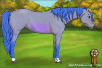 Horse Color:Watercolor Bay Roan 