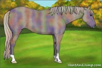 Horse Color:Nacre Silver Grullo 