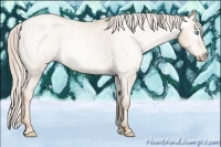 Horse Color:Gray Gold Cream Champagne Roan Pearl Dun Sabino Varnish 
