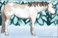 Horse Color:Gray Red Dun Roan Splash Frame Varnish 