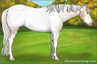Horse Color:Gray Silver Amber Champagne Tobiano Frame Snowcap