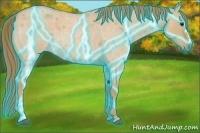 Horse Color:Thunderstruck Red Dun Roan 