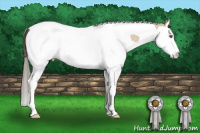 Horse Color:Classic Cream Champagne Dun Splash Tobiano 