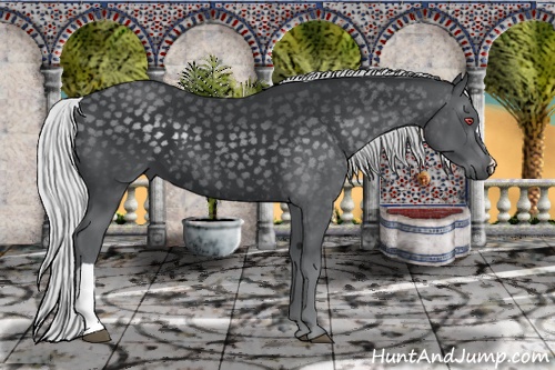 Horse Color: Silver Black Chinchilla 