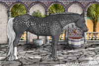 Horse Color:Silver Black Chinchilla
