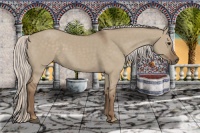 Horse Color:Silver Grullo 