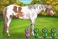 Horse Color:White Spotted Liver Chestnut 