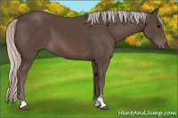 Horse Color:Silver Black Sabino 