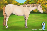 Horse Color:Buckskin Pearl Sabino Rabicano 