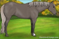 Horse Color:Silver Black 