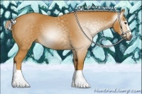 Horse Color:Gray Palomino Sabino 