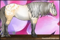 Horse Color:Gray Buckskin Roan Blanket 