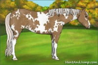 Horse Color:White Spotted Silver Smoky Black