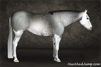 Horse Color:Gray Brown Sabino Splash 