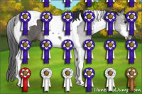 Horse Color:Black Sabino Tobiano Rabicano