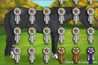 Horse Color:Black Sabino 