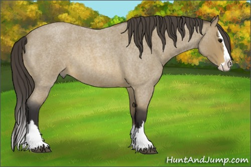 Horse Color: Buckskin Roan Sabino Splash 