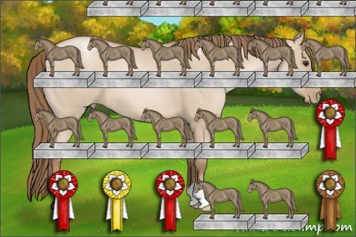 Horse Color: Grullo Pearl 