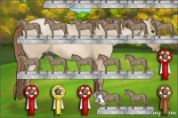 Horse Color:Grullo Pearl 