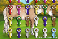 Horse Color:Silver Black Pearl Sabino