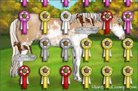 Horse Color:Silver Black Pearl Sabino