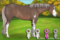 Horse Color:Silver Black Sabino 