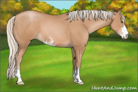 Horse Color:Silver Black Pearl Sabino 