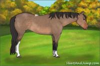 Horse Color:Brown Dun Sabino Tobiano 