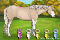 Horse Color:Silver Grullo Pearl Sabino