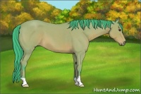 Horse Color:Watercolor Bay Roan 
