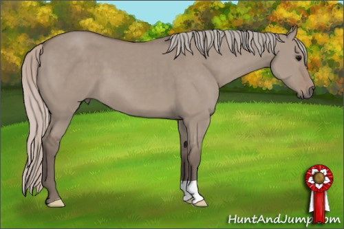 Horse Color: Silver Grullo 