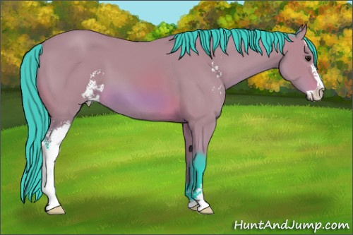 Horse Color: Watercolor Bay Sabino 