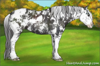 Horse Color:Smoky Black Sabino 