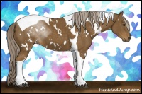 Horse Color:White Spotted Chocolate Palomino Tobiano 