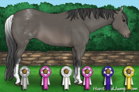 Horse Color:White Spotted Black