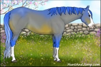 Horse Color:Watercolor Bay Splash 