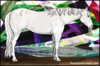 Horse Color:Silver Black Splash Blanket Rabicano 