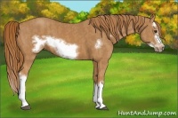 Horse Color:Chestnut Splash Frame  Brindle