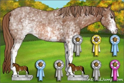 Horse Color: White Spotted Liver Chestnut 