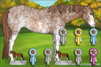 Horse Color:White Spotted Liver Chestnut 