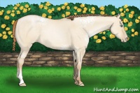 Horse Color:White Spotted Smoky Grullo Pearl 