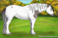 Horse Color:Smoky Grullo Splash Tobiano Frame Rabicano