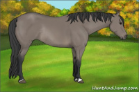 Horse Color:Grullo Rabicano 
