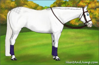 Horse Color:White Spotted Palomino Dun Splash Rabicano