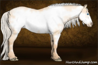 Horse Color:White Spotted Palomino Pearl Dun Frame