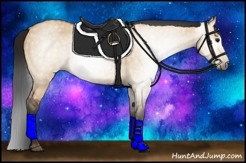 Horse Color:Gray Bay Dun Rabicano