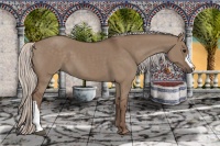 Horse Color:Silver Grullo 